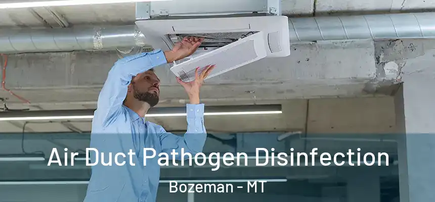  Air Duct Pathogen Disinfection Bozeman - MT
