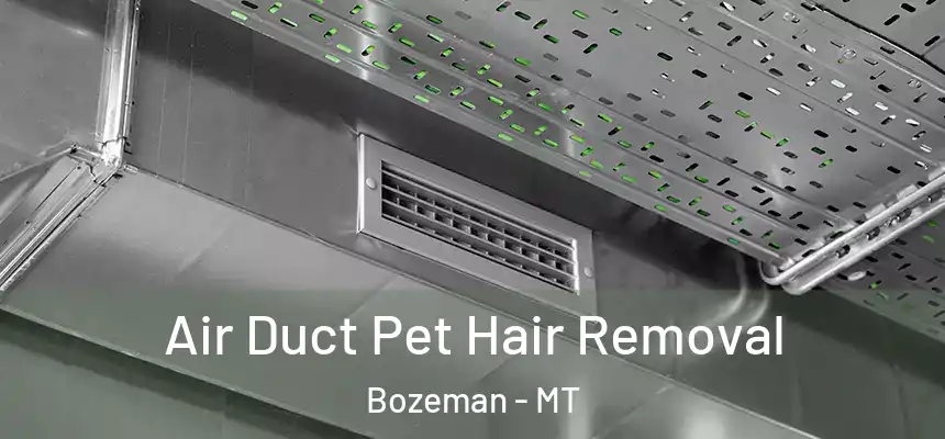  Air Duct Pet Hair Removal Bozeman - MT