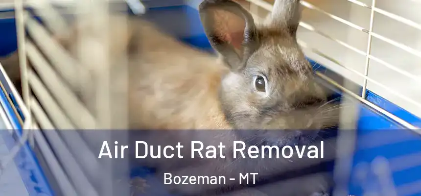  Air Duct Rat Removal Bozeman - MT