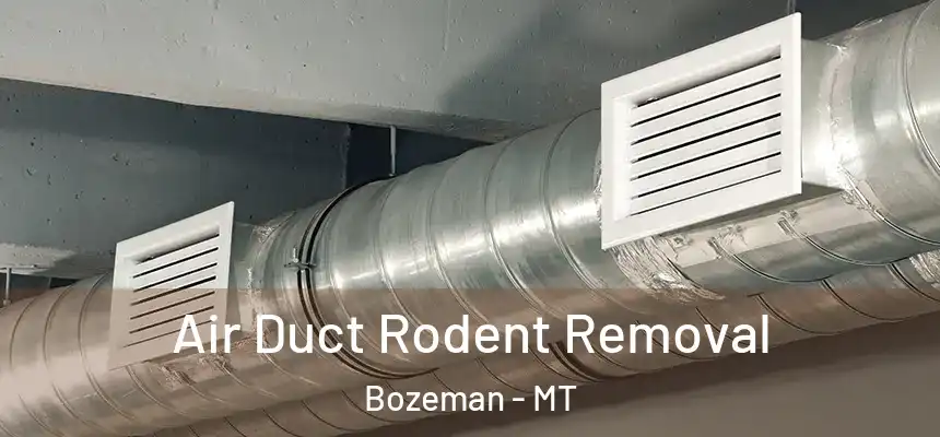  Air Duct Rodent Removal Bozeman - MT