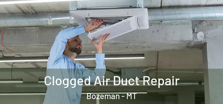  Clogged Air Duct Repair Bozeman - MT