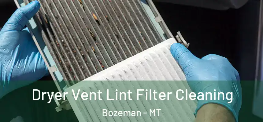  Dryer Vent Lint Filter Cleaning Bozeman - MT