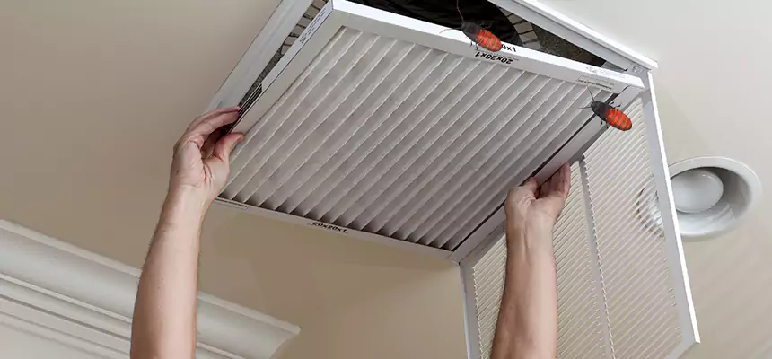 Preventive Cockroach-Proofing for Ducts in Bozeman