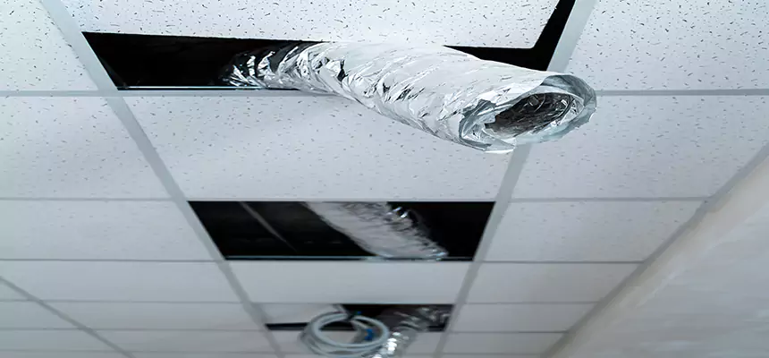 Our Air Duct Pet Hair Removal Services in Bozeman, MT