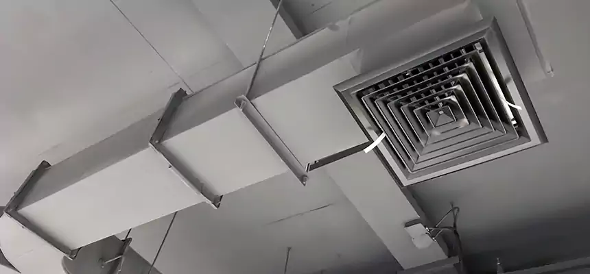 Restorative Allergy Relief Vent Cleaning – Coil, Blower & Housing Detail in Bozeman