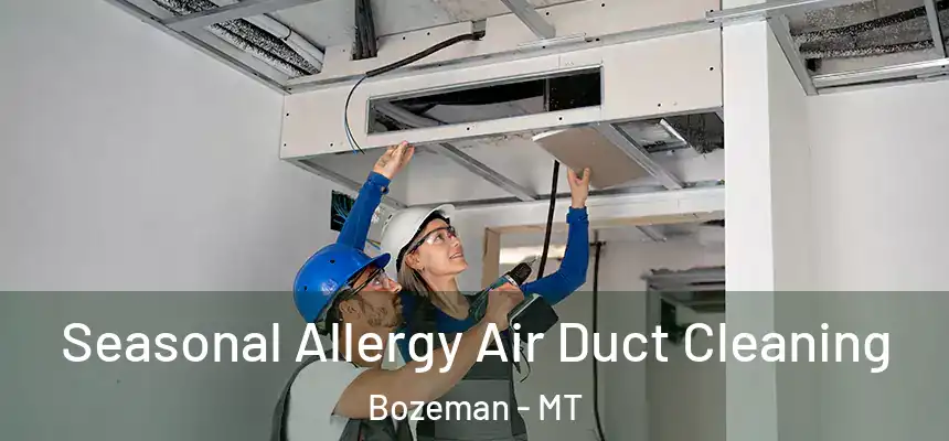  Seasonal Allergy Air Duct Cleaning Bozeman - MT