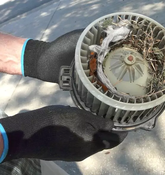 About Air Duct Rat Removal in Bozeman, MT