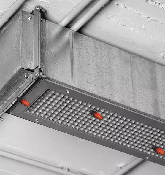 Affordable Insect Removal from Air Ducts in Bozeman, MT