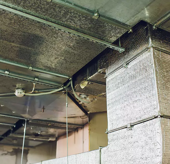 Why Homeowners & Businesses Trust Us in Bozeman, MT?